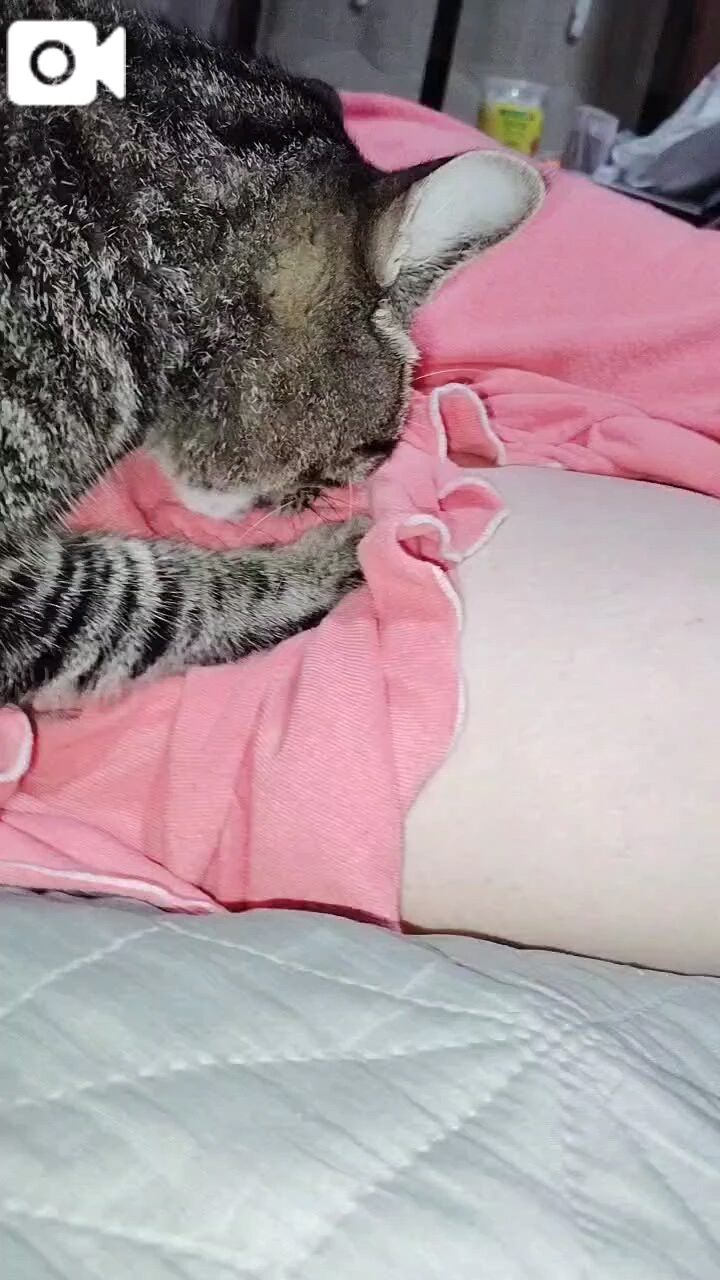 おはようございます&#128522;