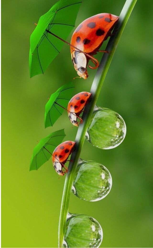 賑やかな朝…&#10024;