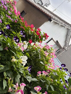 ★おはようございます&hearts;&#65038;