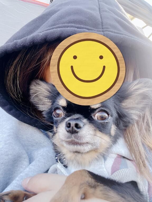 おはようございます