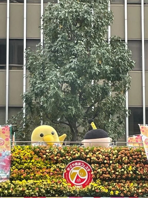 歩いてましたら
