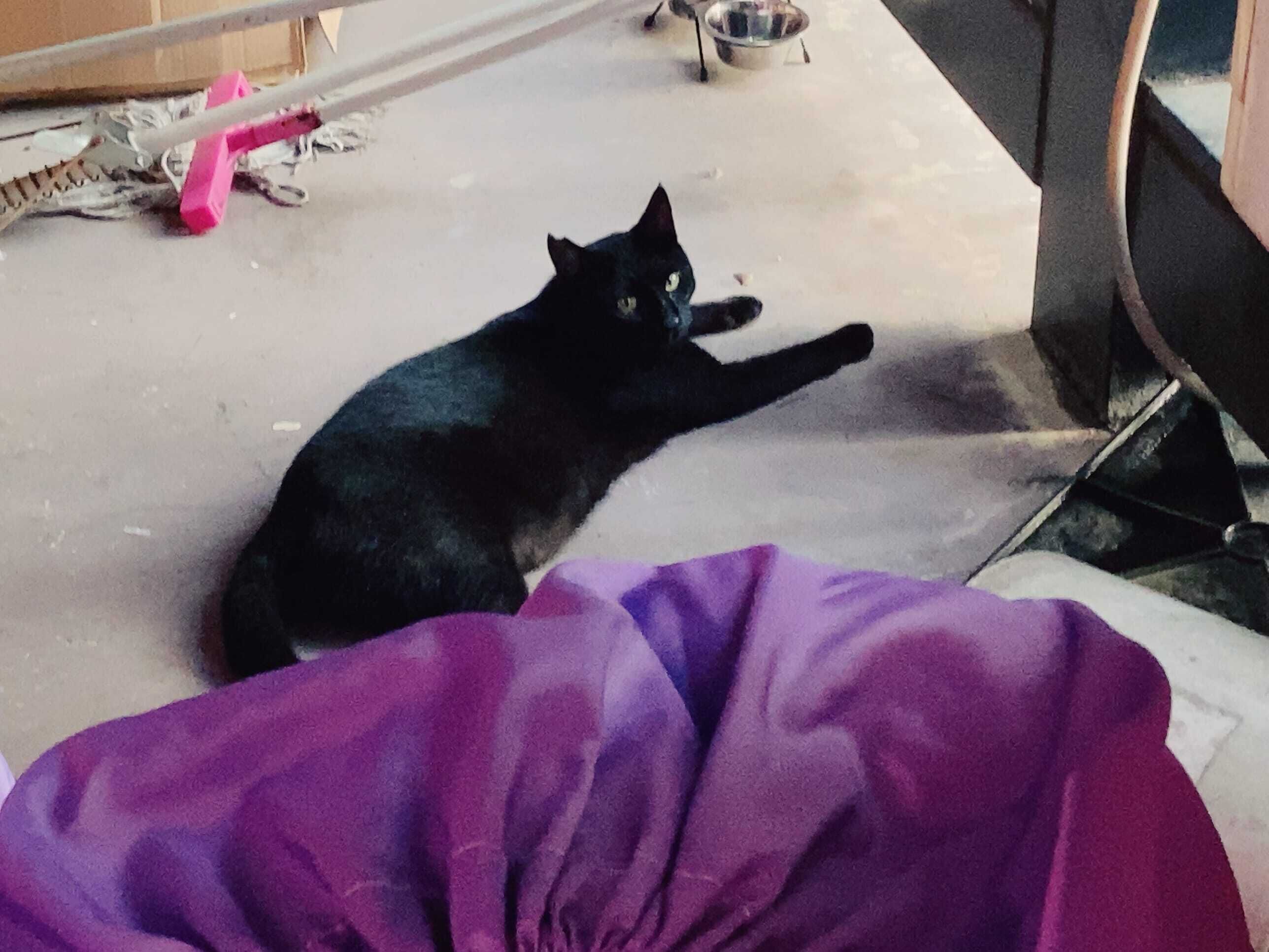 出勤してるよ&#9996;&#65039;