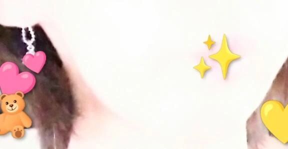 ほっこりしてました