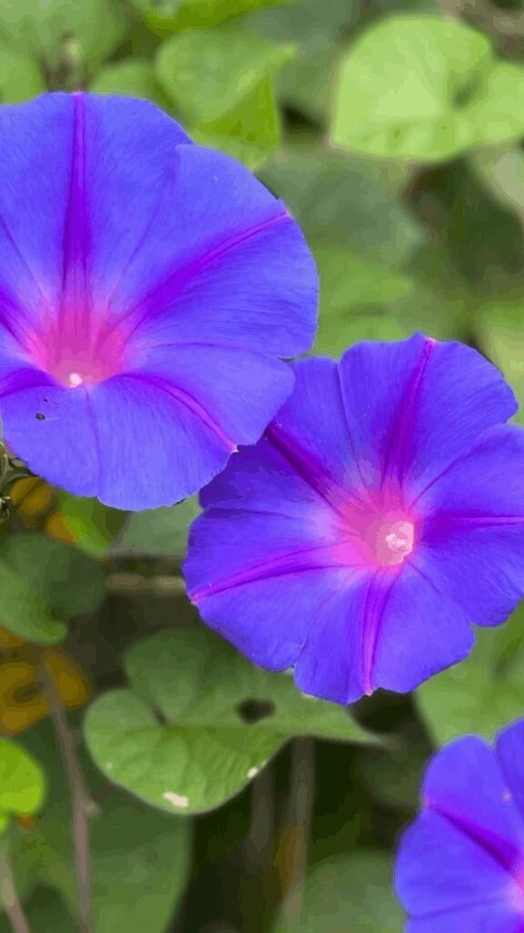 ☆ありがとう☆