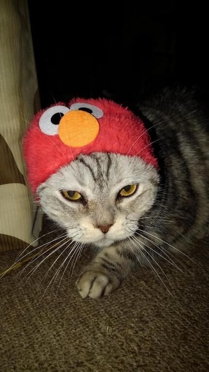信じるか信じないかは…