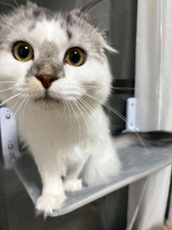 ドアップ&#128525;