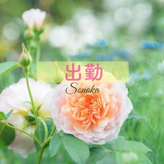 &#10085;・・&#128142;出勤中です