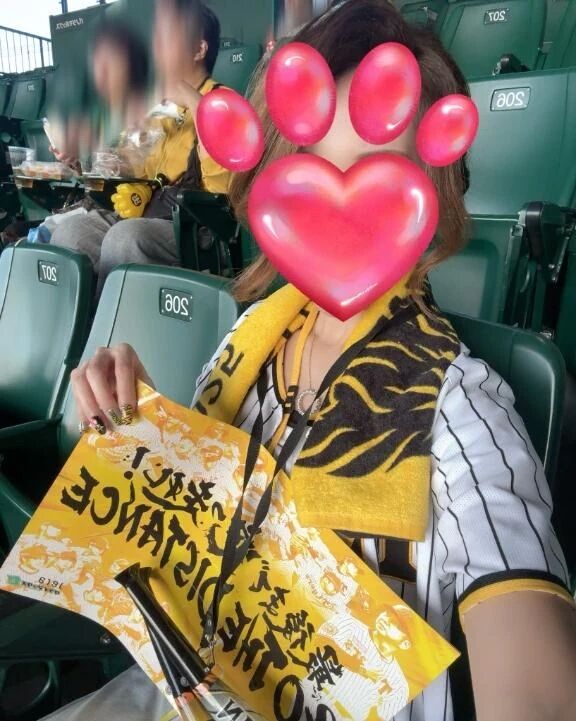 日本シリーズ&#9918;&#65039;