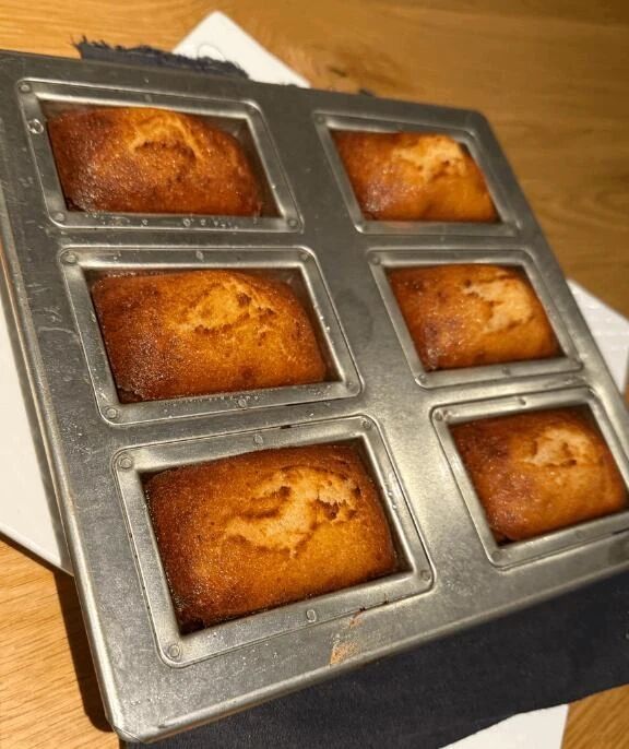 きてねしました