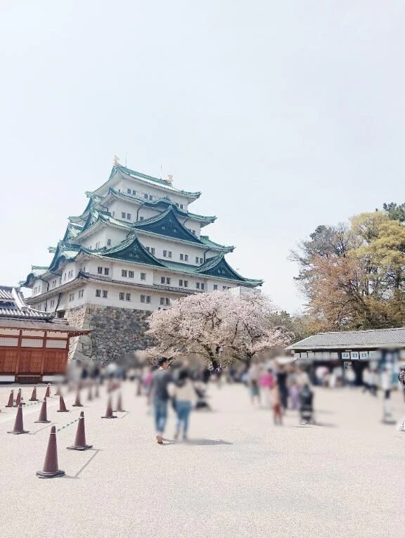 あの、、、明日のことなのですが、、