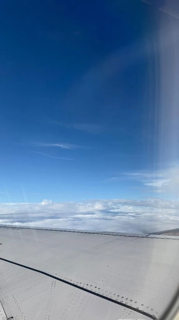 リフレッシュ&#127775;