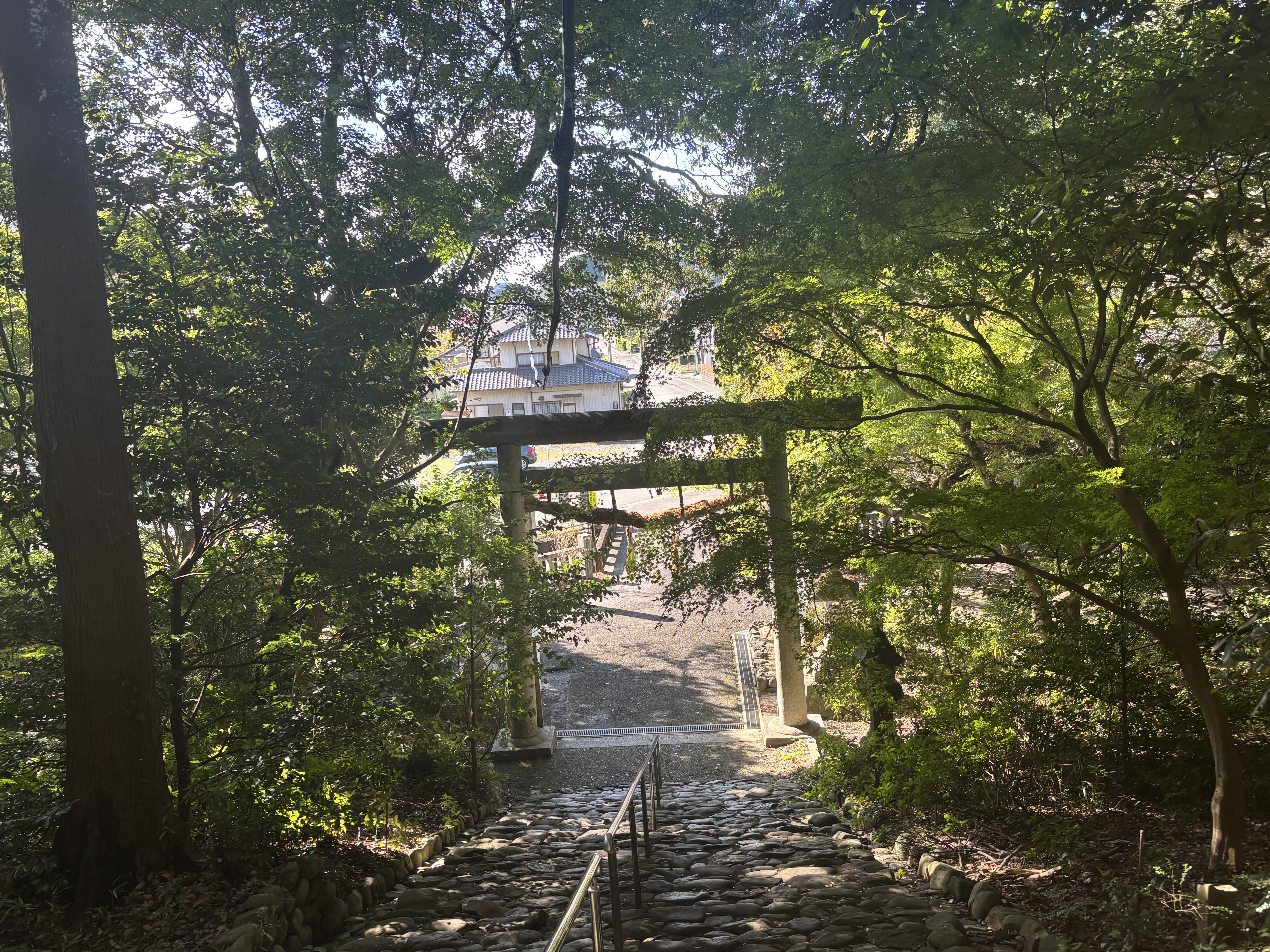 秋