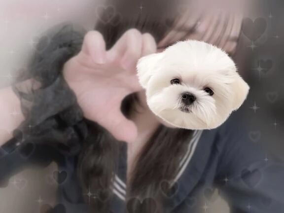らっぷすたあ