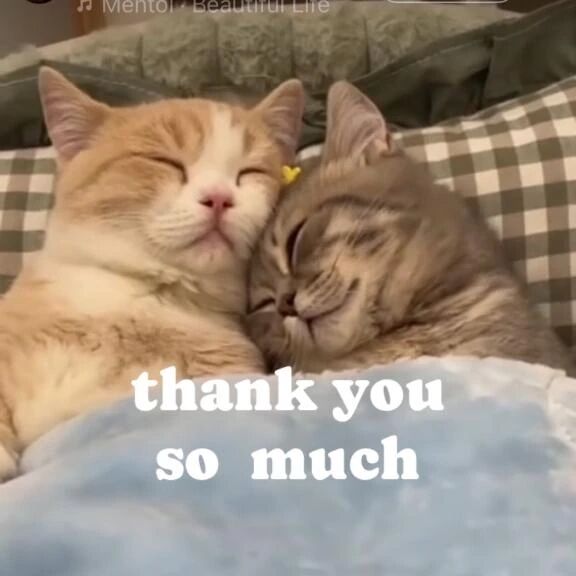 ありがとうございました&#9825;