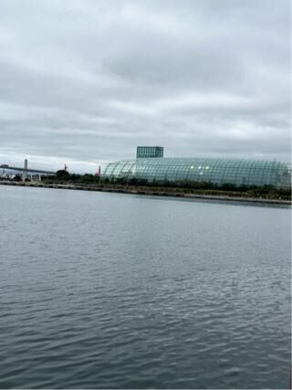 おはようございます