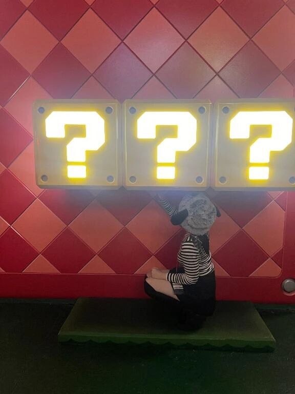 どの遊園地が好き？