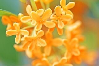 エッチなダーリン