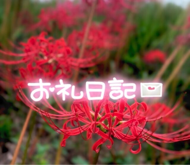 お礼です