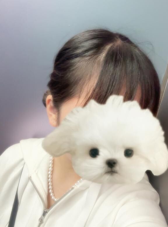 凉