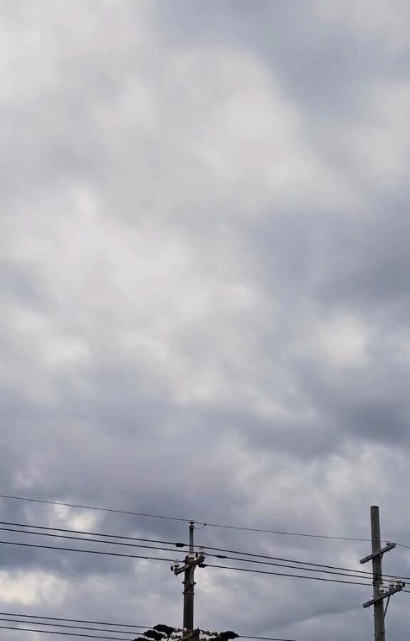 &#129505;おはようございます&#129505;