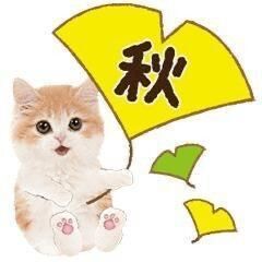 おはようございます