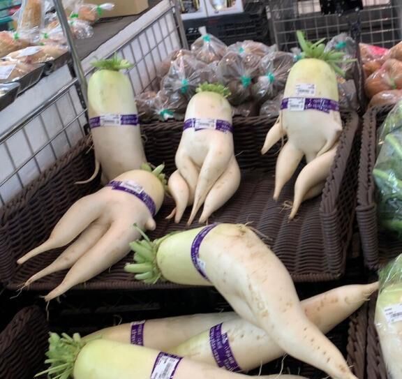 おやすみ