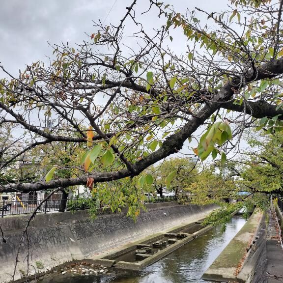 エグくて泣きそうです（笑）