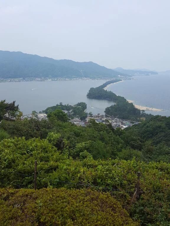 撮影(^ー^)