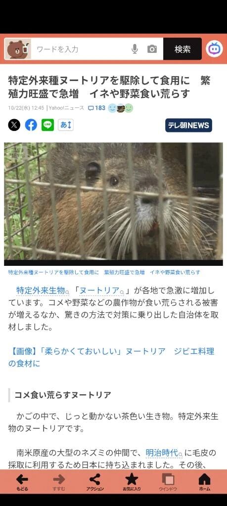 ヌートリアが…