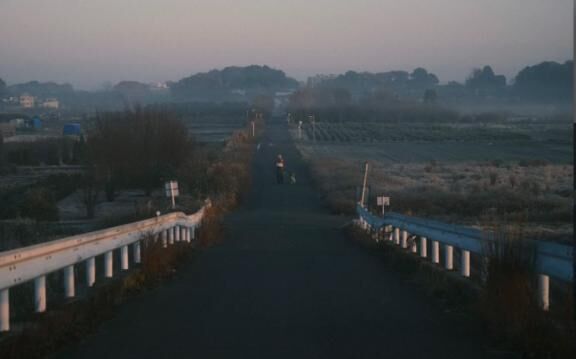 限定