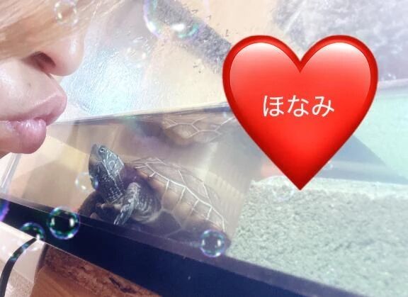 こんばんは&#11088;&#65039;