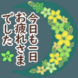 (*^ー^)ノ♪
