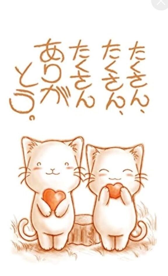 明日は休みます