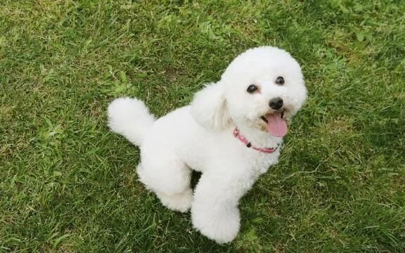 リピ様ありがとうです