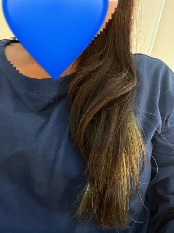 おはようございます