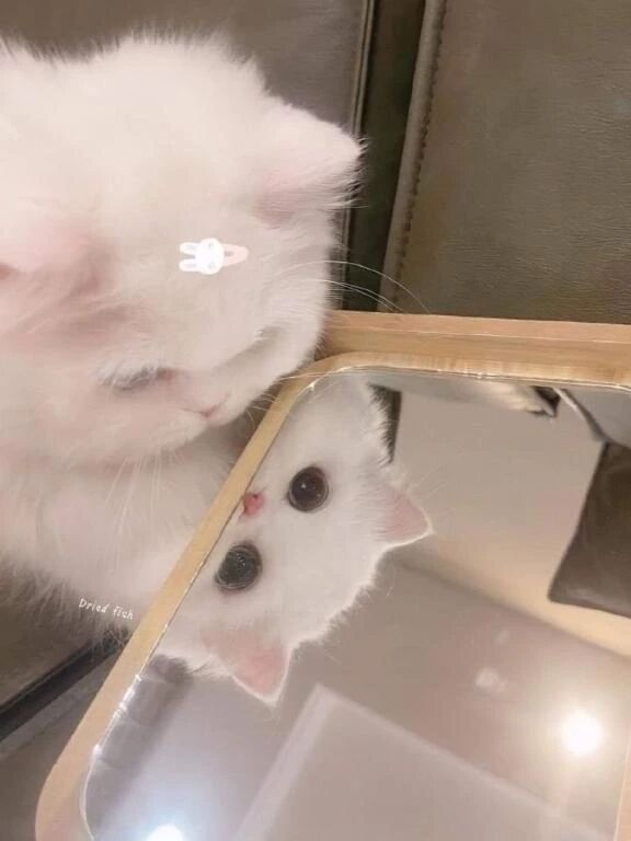 本日のキーワード&#128273;