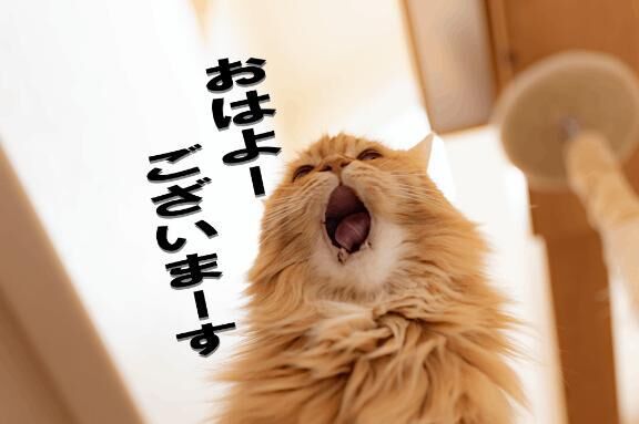 おはよう♡