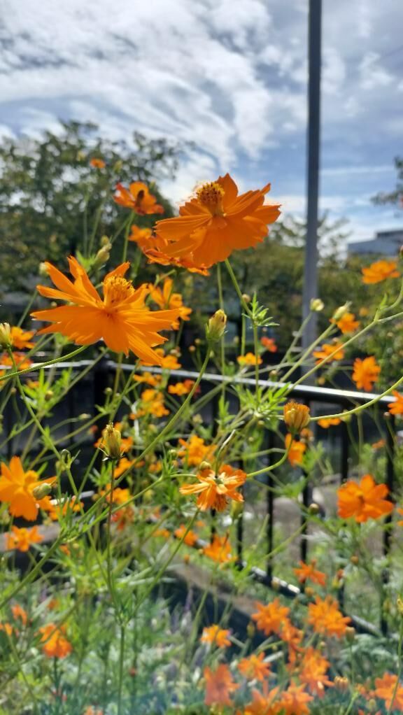 今日は早く着きすぎたので