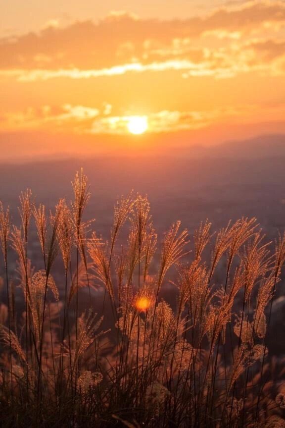 秋のひかりがすき