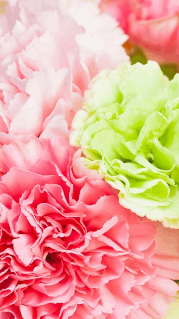 ☆こんにちは☆