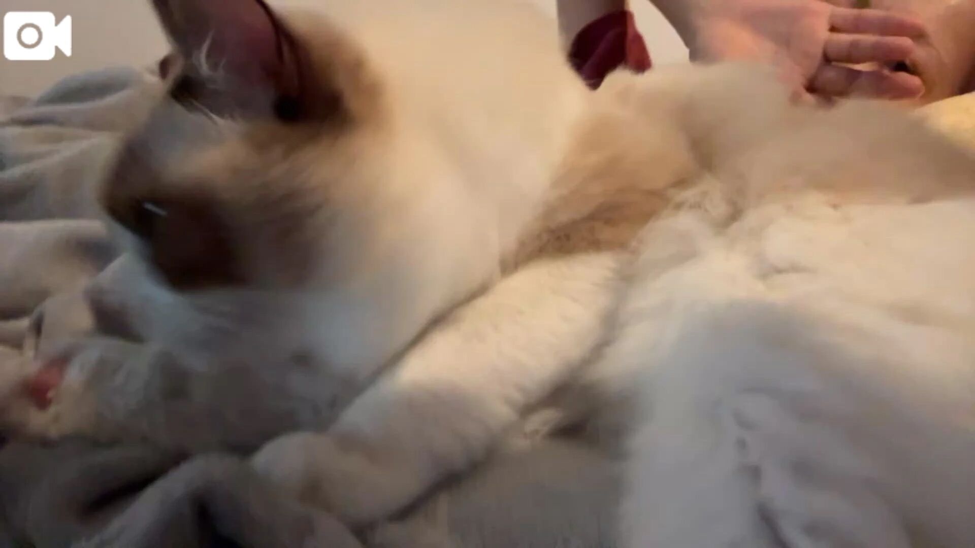 寄り添い&#128049;