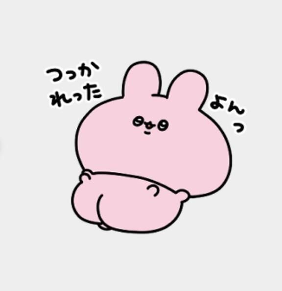 11月