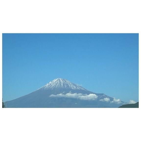 富士山見えた