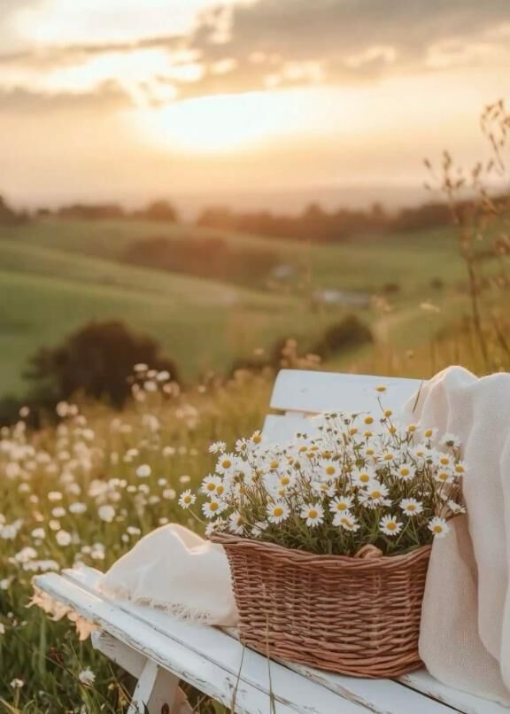 &#128467;&#65039;きんようび&#129653;&#10024;