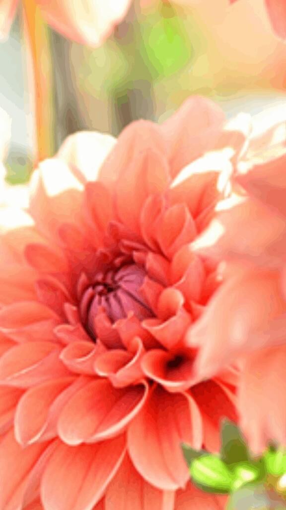 ☆ありがとう☆