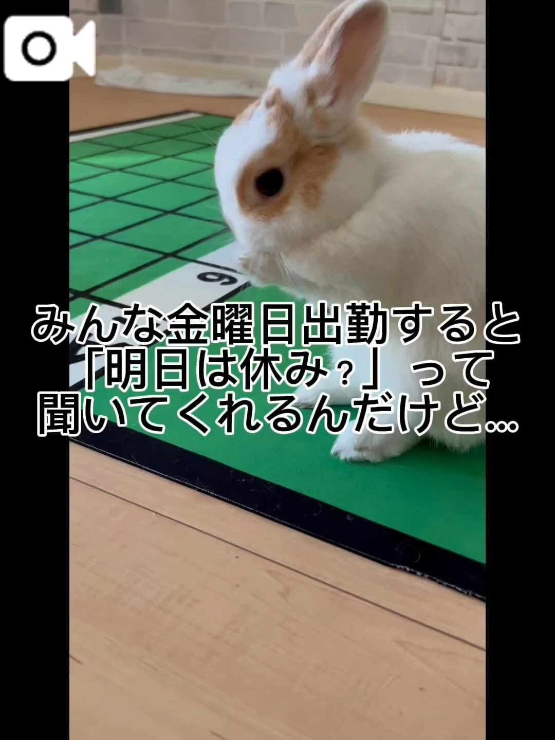 鬼ハードな土曜日