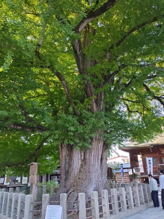 こんばんは&#9825;