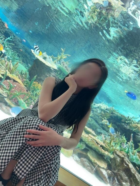 港のきらめき&#10024;