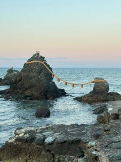 11月出勤候補費