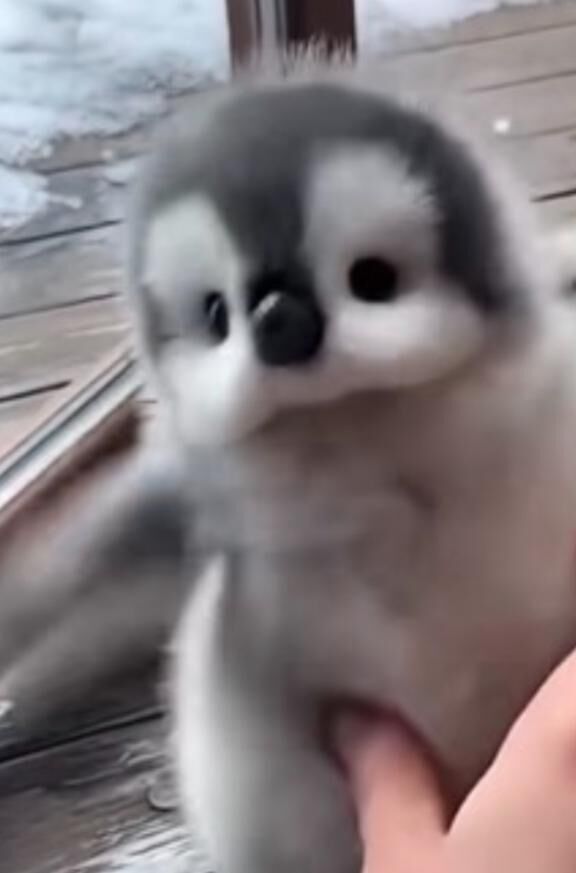 ありがとうございました